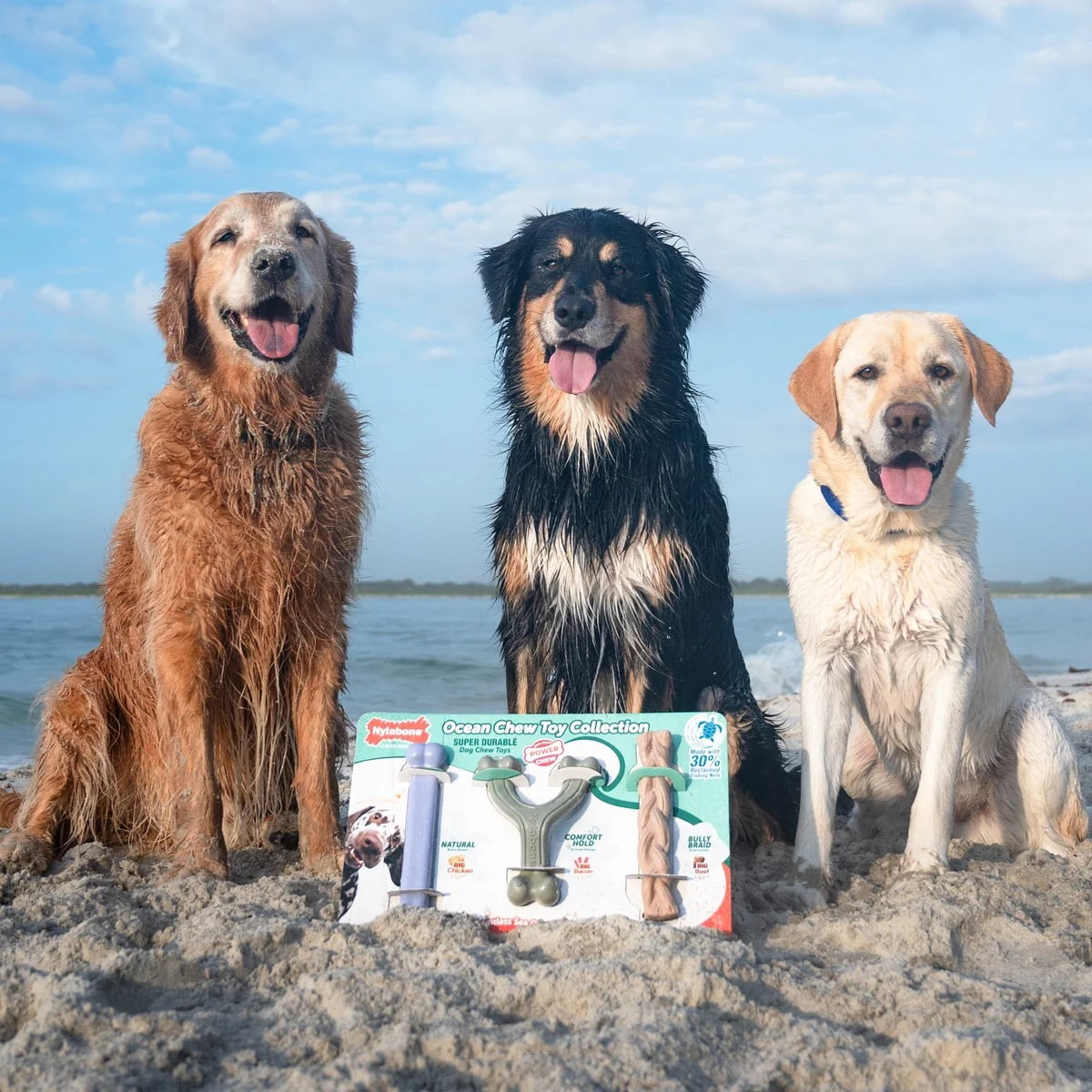 Nylabone Ocean Chew Dog Toy Collection, 3 Count
