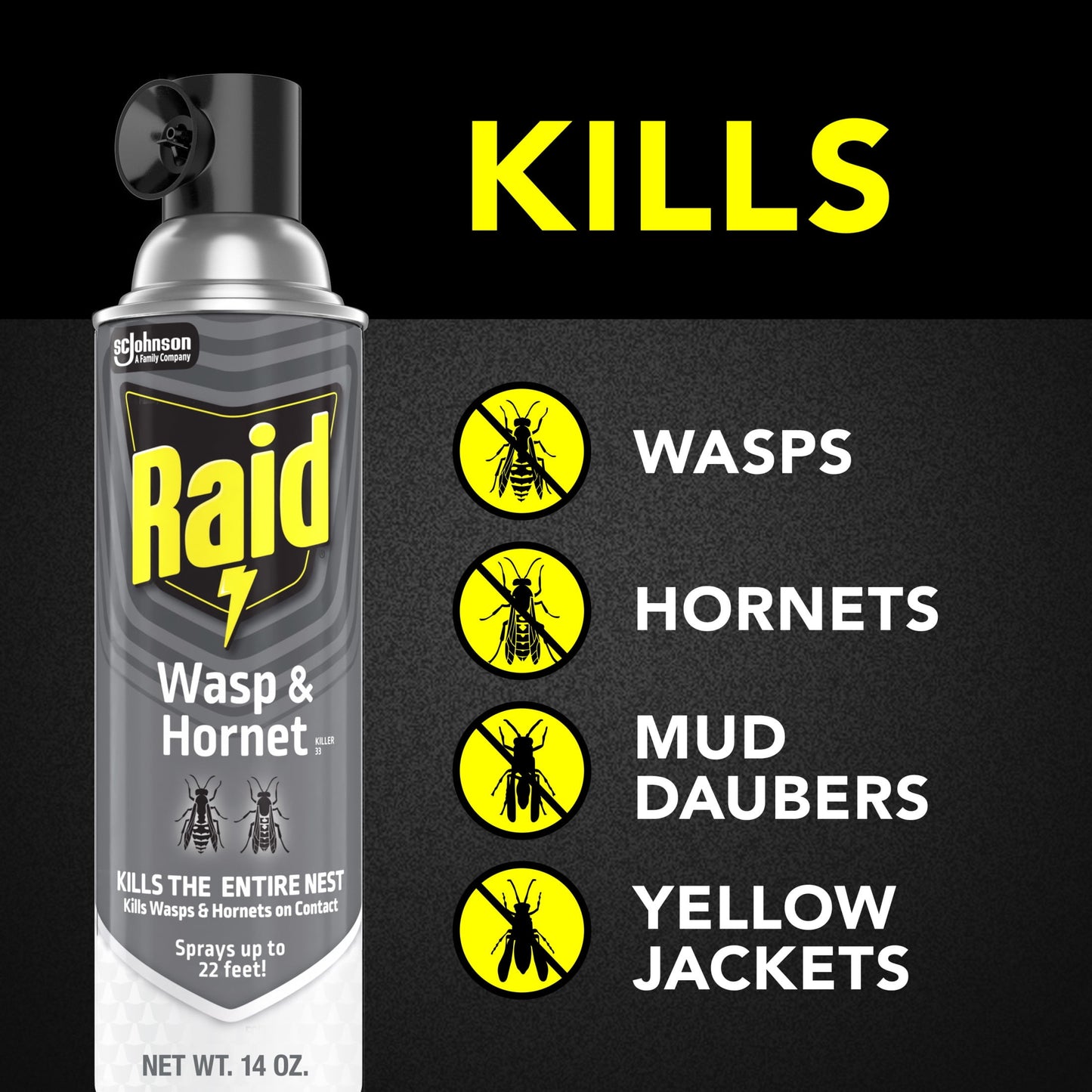 Raid Killer 33 Outdoor Wasp and Hornet Insecticide Value Pack, 14 oz, 2 Count