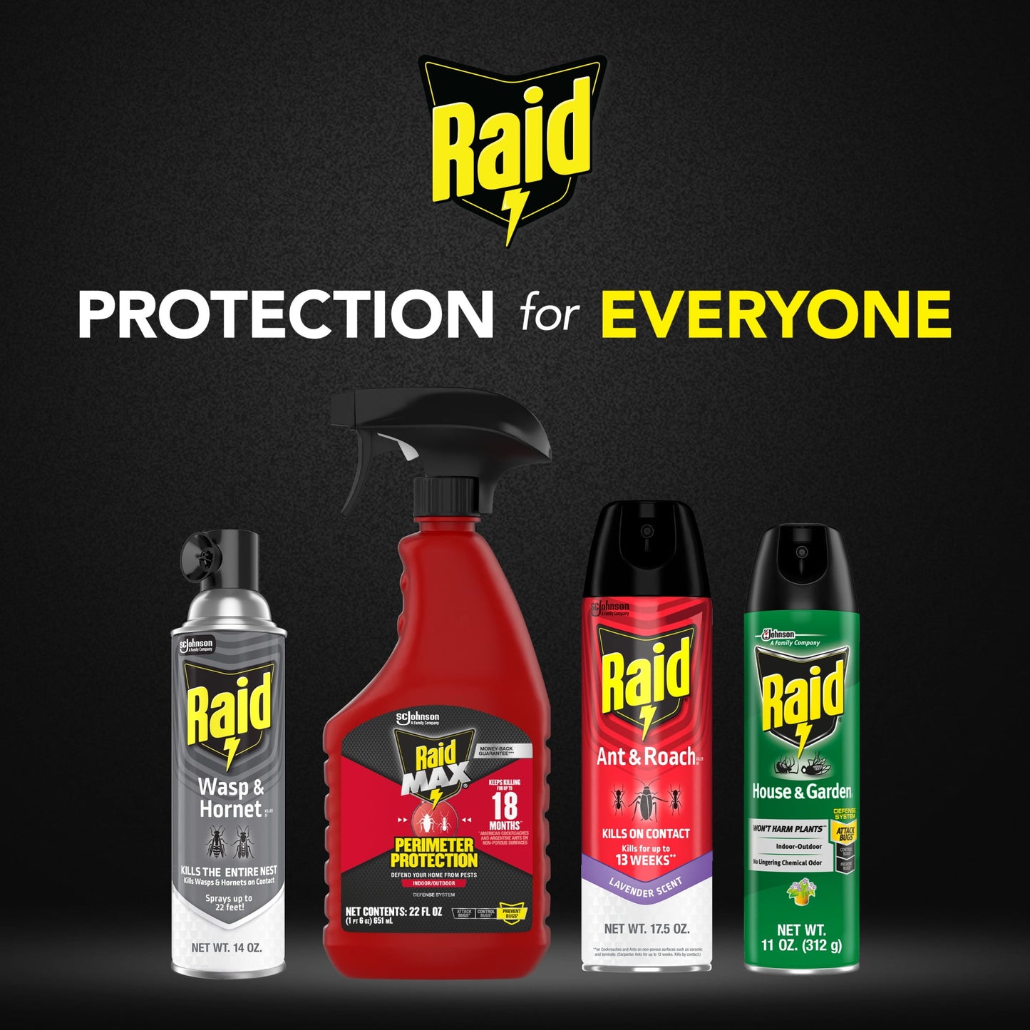 Raid Killer 33 Outdoor Wasp and Hornet Insecticide Value Pack, 14 oz, 2 Count