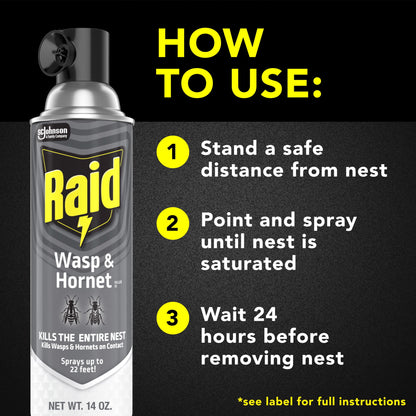 Raid Killer 33 Outdoor Wasp and Hornet Insecticide Value Pack, 14 oz, 2 Count