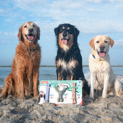 Nylabone Ocean Chew Dog Toy Collection, 3 Count