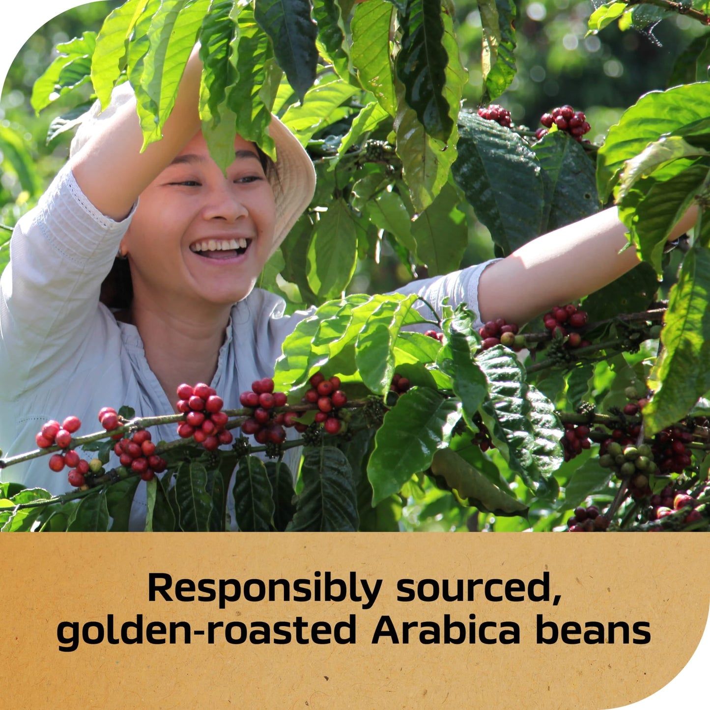 Nescaf? Gold Espresso Blonde, Instant Coffee, 3.5 oz