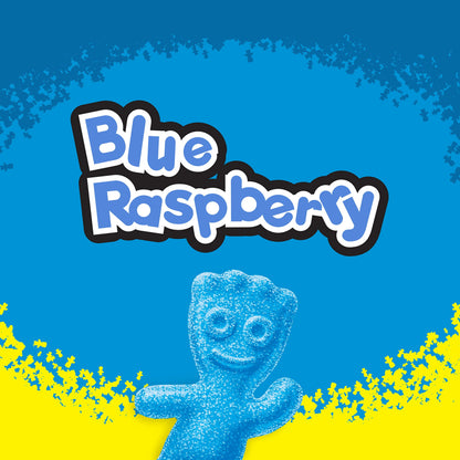SOUR PATCH KIDS Blue Raspberry Soft & Chewy Candy, 12-8 oz Bags