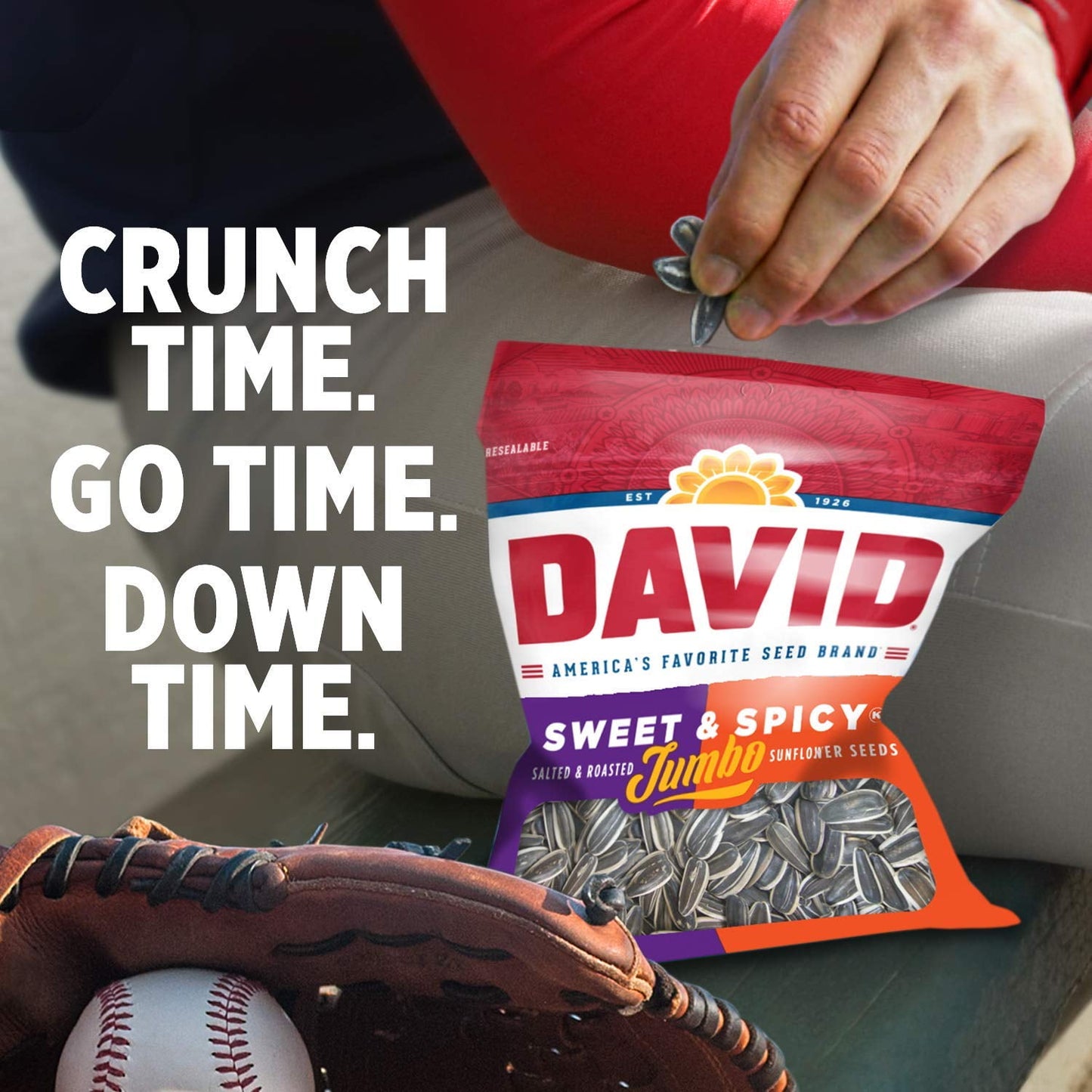 David Sweet & Spicy Jumbo Sunflower Seeds, 5.25 oz (Pack of 3) with By The Cup Baseball Card