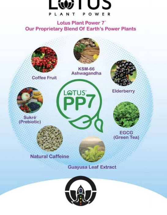 Lotus Plant Power 5:1 Energy Concentrate 64 fl. oz. (Pink)