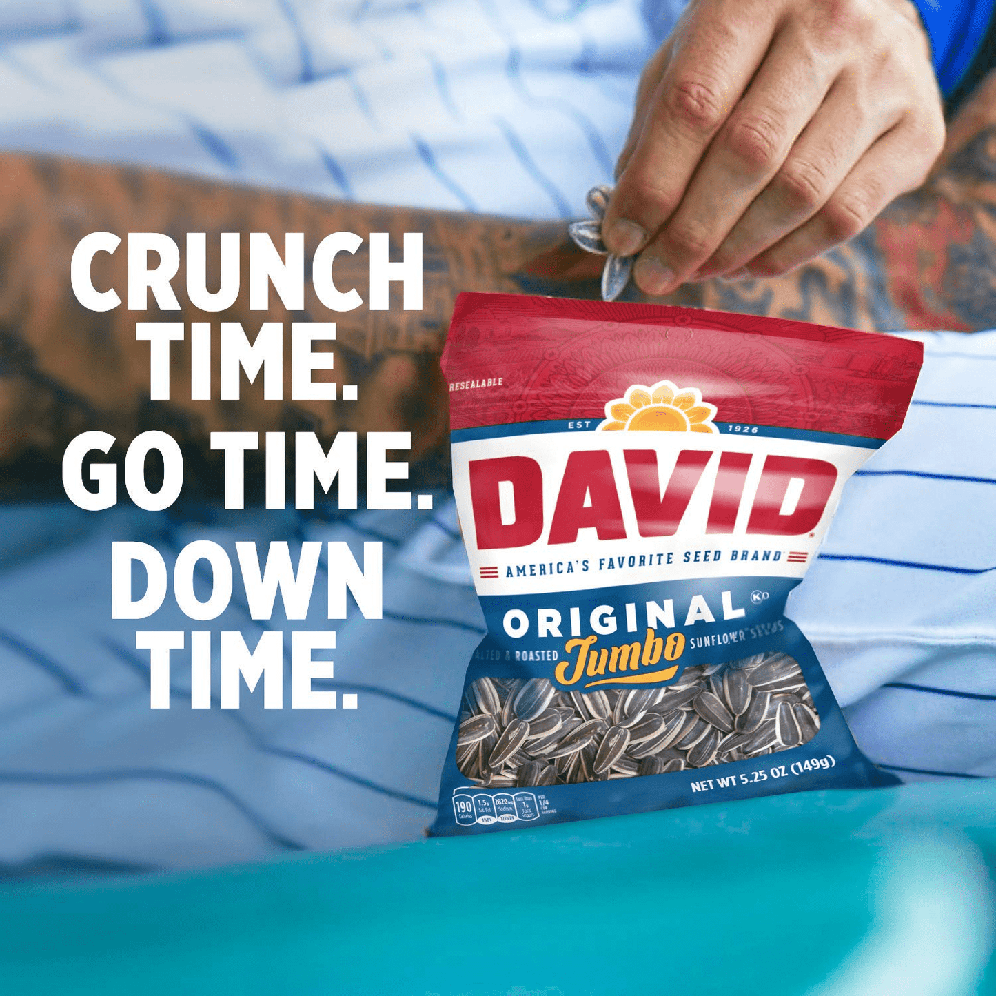 David Seeds Roasted and Salted Original Jumbo Sunflower Seeds, Gluten Free & Keto Friendly Seeds Snacks Great for On-the-Go Snacking Movie Nights Camping Picnic Halloween Trick or Treats 3.75oz- 2PK