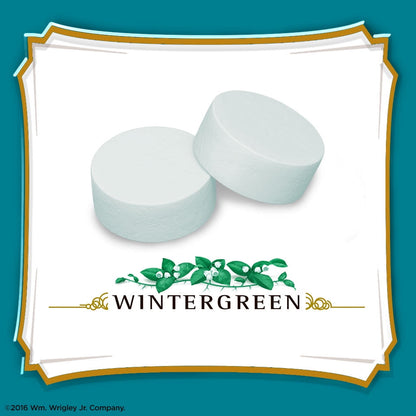 Altoids Wintergreen Breath Mints - 1.76 oz Tin (12 pack)