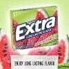 Extra Sweet Watermelon Sugar Free Chewing Gum - 10 Count Bulk Box (150 Total Pieces)