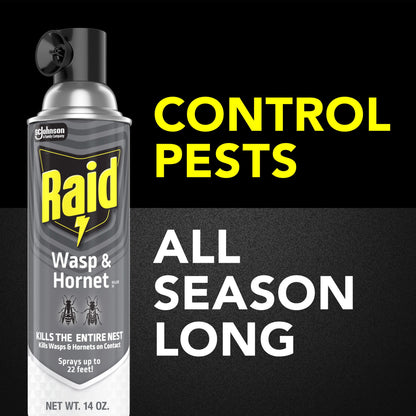Raid Killer 33 Outdoor Wasp and Hornet Insecticide Value Pack, 14 oz, 2 Count